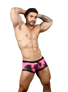 Фото - Розовые транки «Калифорнийские закаты» California Sunset Trunk - Men box