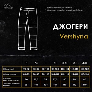 Фото - Чоловічі штани джогери Pobedov Vershyna в кольорі антрацит - Men box