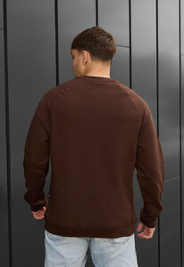 Фото - Всесезонный мужской свитшот Staff brown logo - Men box
