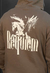 Фото - Худі у коричневому кольорі Staff requiem - Men box