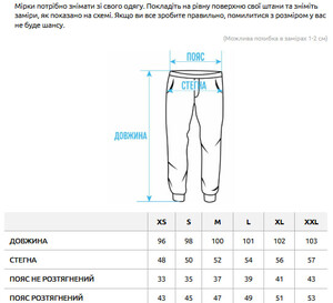 Фото - Сірі молодіжні спортивки Staff siv gray reflective - Men box