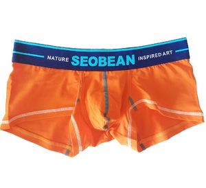Фото - Нижня білизна Seobean оранжевого кольору з синьою гумкою - Men box