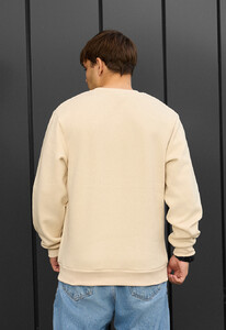 Фото - Теплый свитшот Staff milk basic fleece - Men box