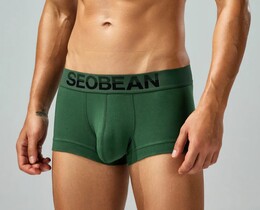 Фото - Хлопковые мужские трусы боксеры Seobean зелёного цвета - Men box