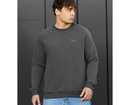 Фото - Теплий світшот Staff dark gray logo fleece - Men box