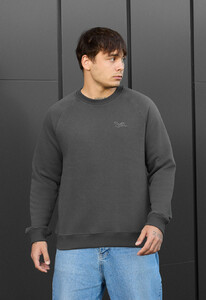 Фото - Теплий світшот Staff dark gray logo fleece - Men box