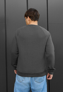 Фото - Теплий світшот Staff dark gray logo fleece - Men box