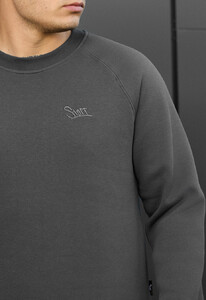 Фото - Теплий світшот Staff dark gray logo fleece - Men box