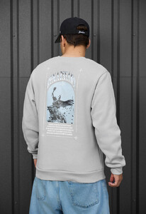 Фото - Теплый молодежный свитшот Staff renaissance fleece - Men box