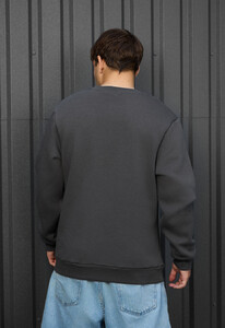 Фото - Серый зимний свитшот Staff cat & mouse fleece - Men box