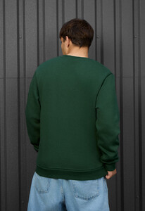 Фото - Однотонный теплый свитшот Staff green basic fleece - Men box