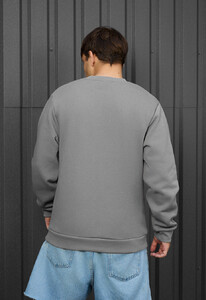 Фото - Теплий світшот Staff gray basic fleece - Men box
