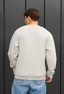 Фото - Теплий світшот Staff light gray basic fleece - Men box