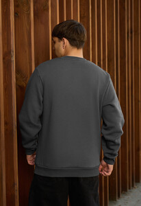 Фото - Теплый свитшот Staff dark gray basic fleece - Men box
