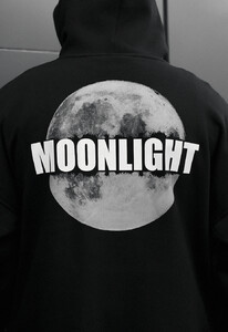 Фото - Молодежное утепленное худи Staff moonlight reflective fleece - Men box