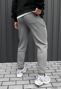 Фото - Утеплені спортивні штани Staff ho gray fleece - Men box