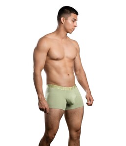 Фото - Базовые мужские боксеры Bamboo Boxer от Andrew Christian - Men box