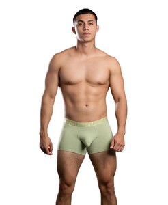 Фото - Базовые мужские боксеры Bamboo Boxer от Andrew Christian - Men box