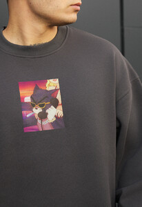 Фото - Теплый оверсайз свитшот Staff busy cat oversize fleece - Men box