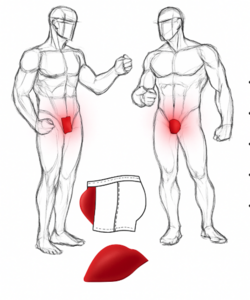 Фото - Вкладыш пуш-ап для мужского белья оливкового цвета - Men box