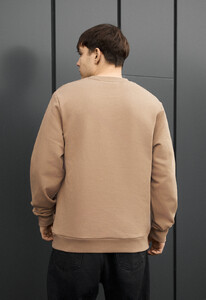Фото - Мужской свитшот Staff basic light brown - Men box