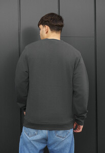 Фото - Мужской свитшот Staff logo dark gray - Men box