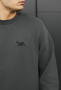 Фото - Мужской свитшот Staff logo dark gray - Men box