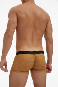 Фото - Чоловічі прозорі боксери Ciokicx золоті з люрексової сіточки - Men box