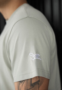 Фото - Чоловіча зручна футболка Staff pi gray olive logo - Men box