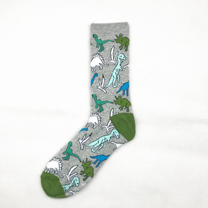 Фото - Демисезонные носки Friendly Socks серые с динозаврами - Men box