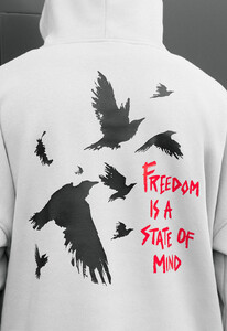 Фото - Мужское худи с принтом птиц Staff freedom oversize fleece - Men box