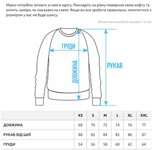 Фото - Чоловічий світшот з якісною флуоресцентною вишивкою Staff logo oversize fleece - Men box