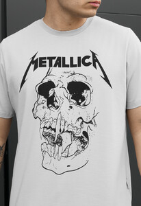 Фото - Мужская стильная футболка Staff metal - Men box