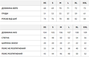 Фото - Мужской спортивный костюм с отблеском Staff van graphite zip - Men box