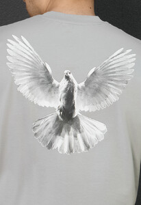 Фото - Мужская качественная футболка Staff dove oversize - Men box