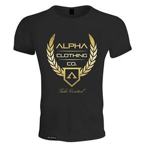 Фото - Футболка от бренда Alpha черная с золотистым логотипом - Men box