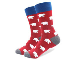 Фото - Мужские носки "Северный мишка" от Friendly Socks - Men box