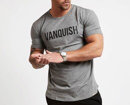 Фото - Спортивная мужская футболка от бренда VQH серого цвета - Men box