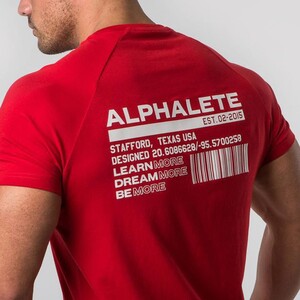 Фото - Чоловіча спортивна футболка бренду Alpha червоного кольору - Men box