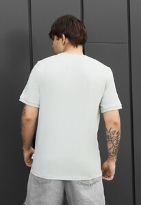 Фото - Мужская стильная футболка Staff lu light gray - Men box