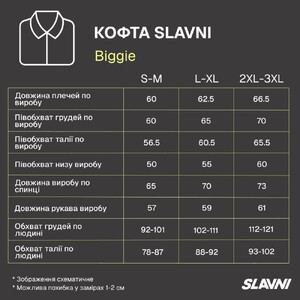 Фото - Мужское темно-серое худи Slavni Biggie застежка на молнию - Men box