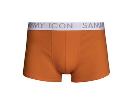 Фото - Боксери класичного крою Sammy Icon. Колір: оранжевий - Men box