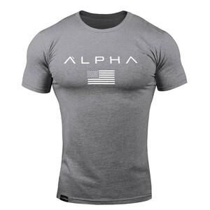 Фото - Спортивна чоловіча футболка Alpha сірого кольору - Men box