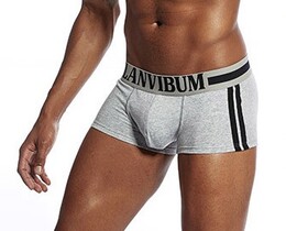 Фото - Трусы мужские Lanvibum с брендированной резинкой серые - Men box