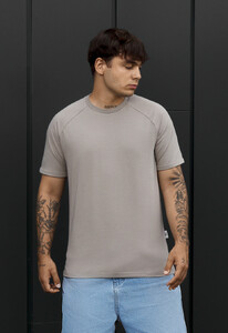 Фото - Мужская однотонная футболка Staff gray-beige - Men box