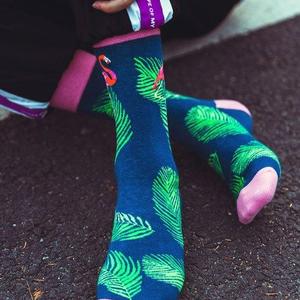 Фото - Мужские носки "Розовый фламинго" от Friendly Socks - Men box