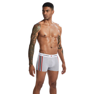 Фото - Труси-боксери для чоловіків Lanvibum повсякденні сірого кольору - Men box