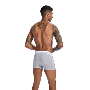 Фото - Труси-боксери для чоловіків Lanvibum повсякденні сірого кольору - Men box