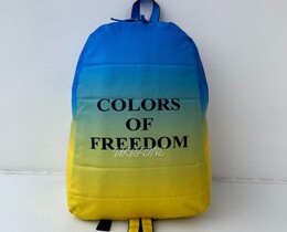 Фото - Рюкзак Intruder желто-голубой Colors of Freedom - Men box