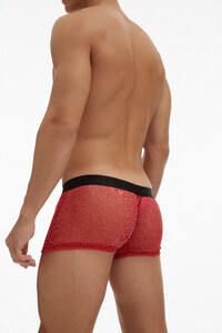 Фото - Прозрачные боксеры Ciokicx красного цвета с люрексом - Men box